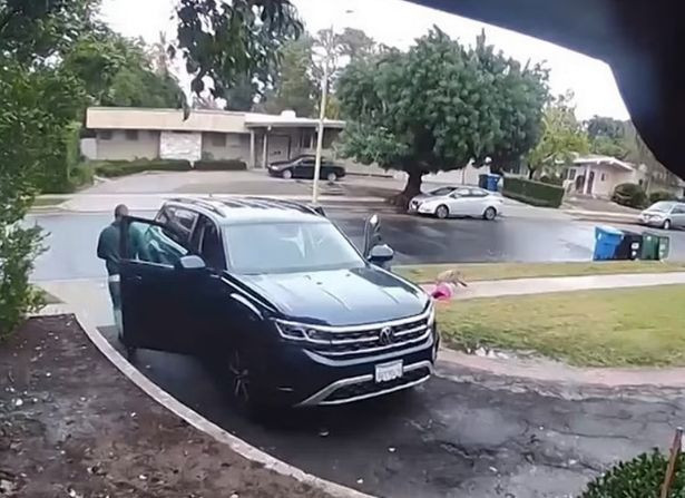 Be gai 2 tuoi bi cho soi tan cong giua ban ngay o My