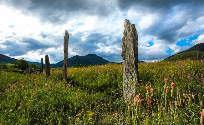 8. Ghé thăm Tsarsky Kurgan (Hoàng gia Kurgan): Di tích khoảng 2.500 năm tuổi này nằm ở Quận Charyshsky. Nơi này gồm 19 tấm bia dẫn vào khu mộ trông như những cột đá. Trong đó, cột đá thấp nhất chỉ cao 2 mét, trong khi cột đá xa nhất cao 4,5 mét.