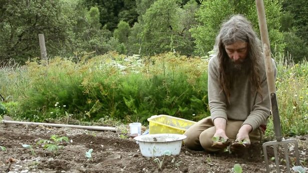 Nguoi dan ong song mot minh trong rung suot 32 nam-Hinh-3