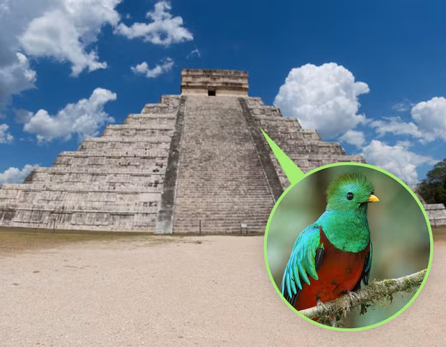 Kim tự tháp El Castillo phát ra tiếng chim khi mọi người vỗ tay: Khi đến thăm Chichén Itzá, ở Mexico, bạn có thể đứng dưới chân cầu thang của kim tự tháp El Castillo và vỗ tay để nghe thấy ra tiếng chim kêu. Đó là tiếng kêu của con chim Quetzal vang vọng khắp nơi.