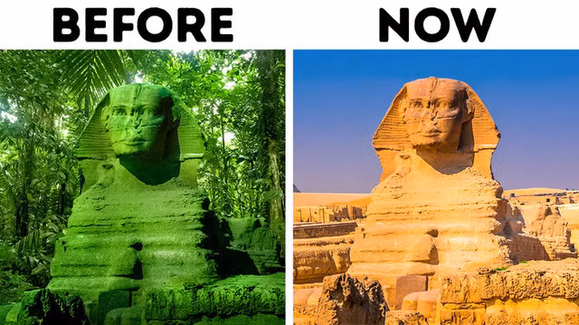 Sa mạc Sahara từng là rừng nhiệt đới: Theo các nhà khoa học, sa mạc Sahara từng là một khu rừng nhiệt đới, nơi sinh sống của những loài động vật đáng kinh ngạc như hà mã. Sự thay đổi đột ngột trong hệ sinh thái là do sự thay đổi quỹ đạo quay của Trái đất.