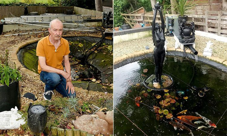 Chu nha khoc rong vi rai ca an thit hon 100 con ca Koi