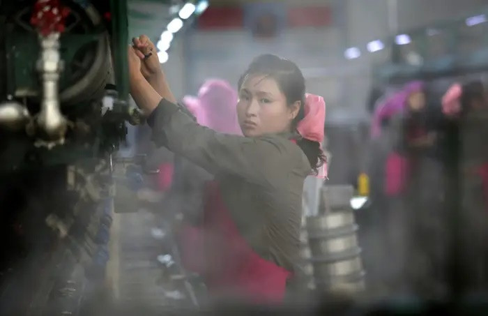 Nữ công nhân phân loại kén tằm để đun sôi như một phần của quy trình sản xuất tơ tằm tại Nhà máy Tơ lụa Kim Jong Suk ở Bình Nhưỡng. Ảnh: AP.