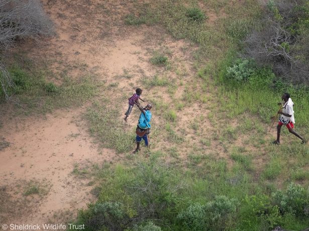 Cau be 4 tuoi song sot sau 6 ngay lac trong rung chau Phi-Hinh-2