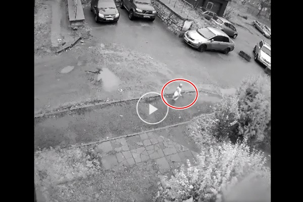 Bé gái 1 tuổi trốn khỏi nhà trẻ, cô giáo không hay biết Be gai 1 tuoi tron khoi nha tre, co giao khong hay biet