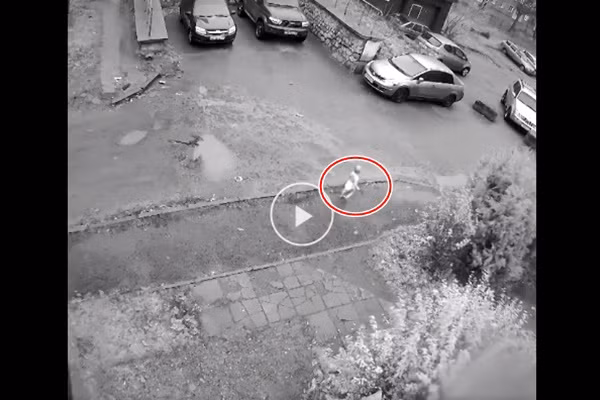 Be gai 1 tuoi tron khoi nha tre, co giao khong hay biet