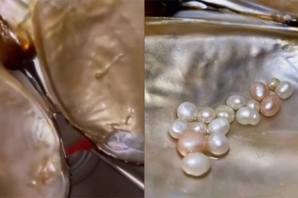 Nuôi ngao 2 năm, cô gái bất ngờ vớt được cả nắm ngọc trai Nuoi ngao 2 nam, co gai bat ngo vot duoc ca nam ngoc trai