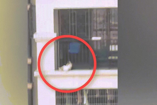 Nghet tho xem giai cuu em be ket dau o lan can tang 7