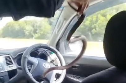 “Ta hoa” vi thay hai con tran khong lo lam to sau lo vi song-Hinh-2