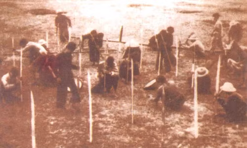 Nhung chien dich toan thang cua quan dan ta trong Khang chien chong Phap