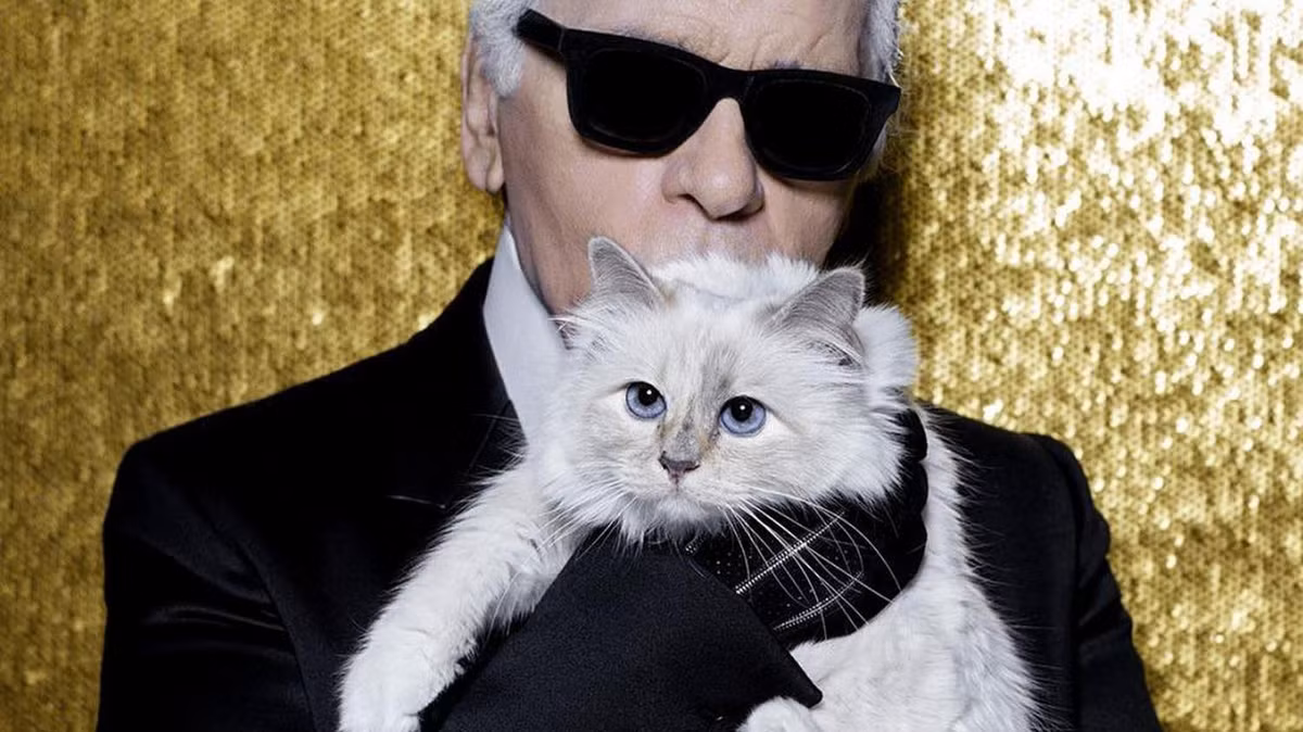 Meo Choupette - Richcat so huu tai san khung van nguoi mo