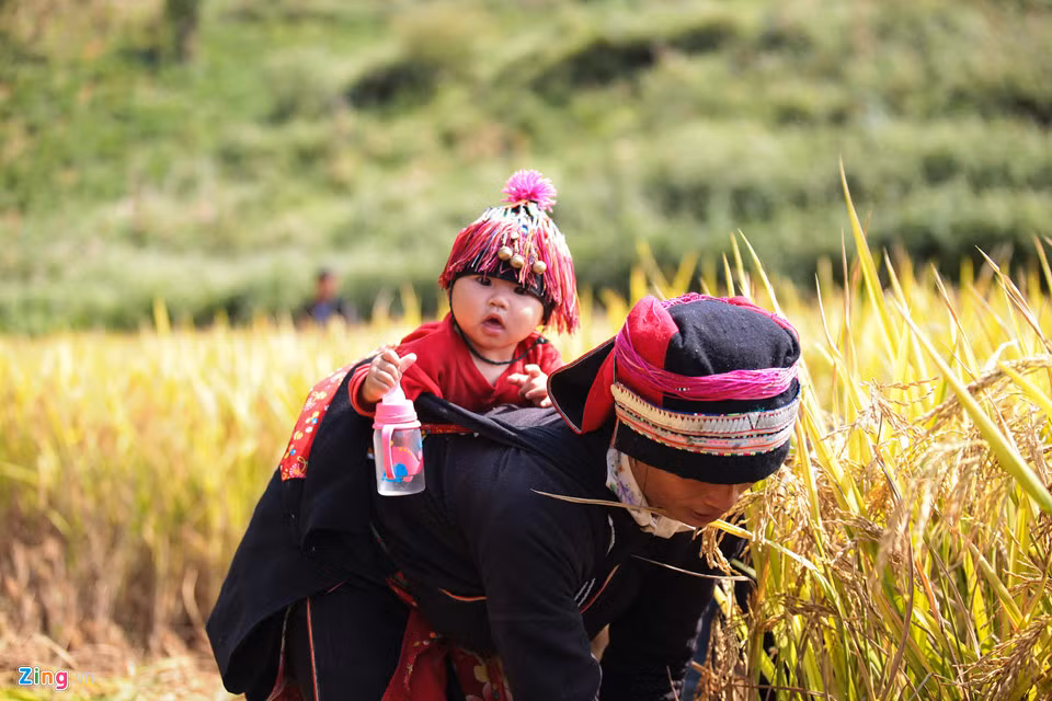 Dọc đường đi, không khó để bắt gặp những khung cảnh bình yên thế này.