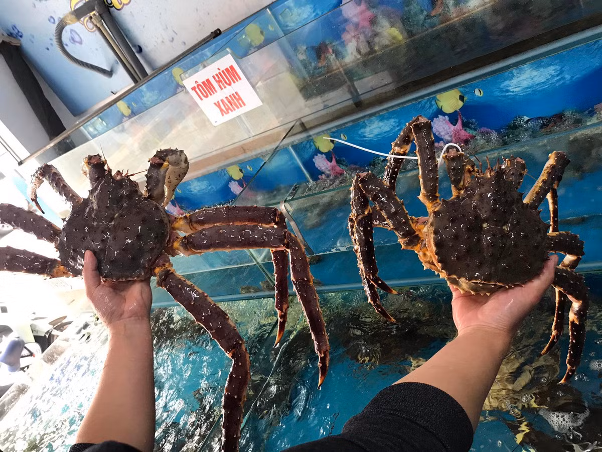 Hải sản tươi rói ế khách, khách đua nhau săn mua hàng ngộp chết - Hình 2 Hai san tuoi roi e khach, khach dua nhau san mua hang ngop chet-Hinh-2