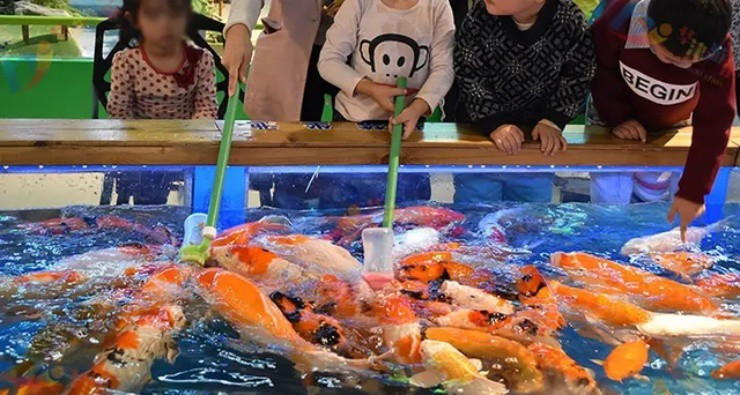 Cho cá bú bình... chủ kiếm gần trăm triệu/tháng Cho ca bu binh... chu kiem gan tram trieu/thang