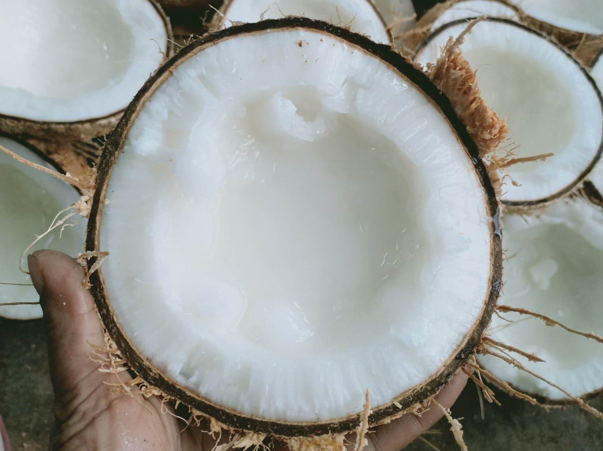 Mẫu iPhone đỉnh cao một thời giảm mạnh, xe máy hạ giá liên tục - Hình 2 Mau iPhone dinh cao mot thoi giam manh, xe may ha gia lien tuc-Hinh-2