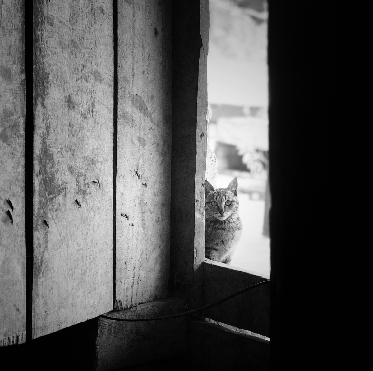 Ảnh đen trắng vốn dĩ khó hấp dẫn người xem bởi lẽ màu sắc trong ảnh là tông đen trắng đơn điệu. Đây cũng là điểm khó trong sáng tác, ý ảnh luôn cần giải, thông điệp cần rãi bày với sáng tối, đen trắng mà thôi.