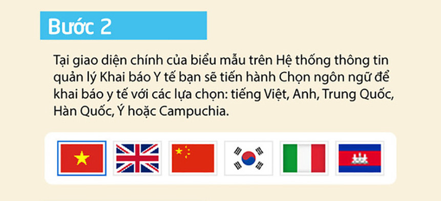 Các thông tin sẽ rất cơ bản, ngắn gọn về tên, tuổi, địa chỉ, số thẻ bảo hiểm y tế, tình trạng sức khoẻ (bệnh mãn tính/có hay không biểu hiện ho, sốt, khó thở…).