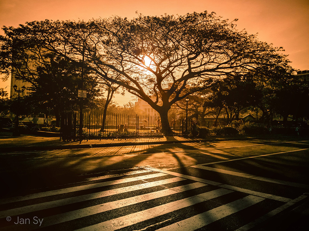 Bức ảnh chiều tà bóng đổ của tác giả Jan Sy được chụp bởi Huawei Mate 20 pro.