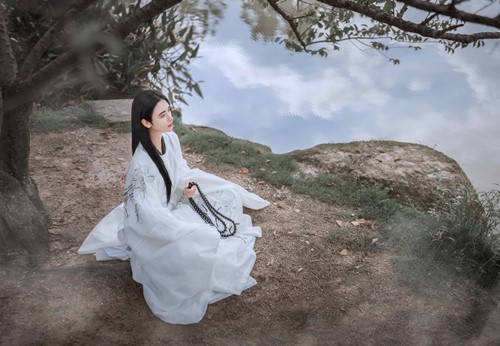 Vào năm Đoan Bình thứ ba (năm 1234 sau Công Nguyên), Đổng Sư Tú được mời đến làm khách tại nhà của góa phụ họ Lưu ở Phố Nam. Chồng của Lưu thị đã qua đời khi cô còn trẻ nên Lưu thị vô cùng nhớ nhung.