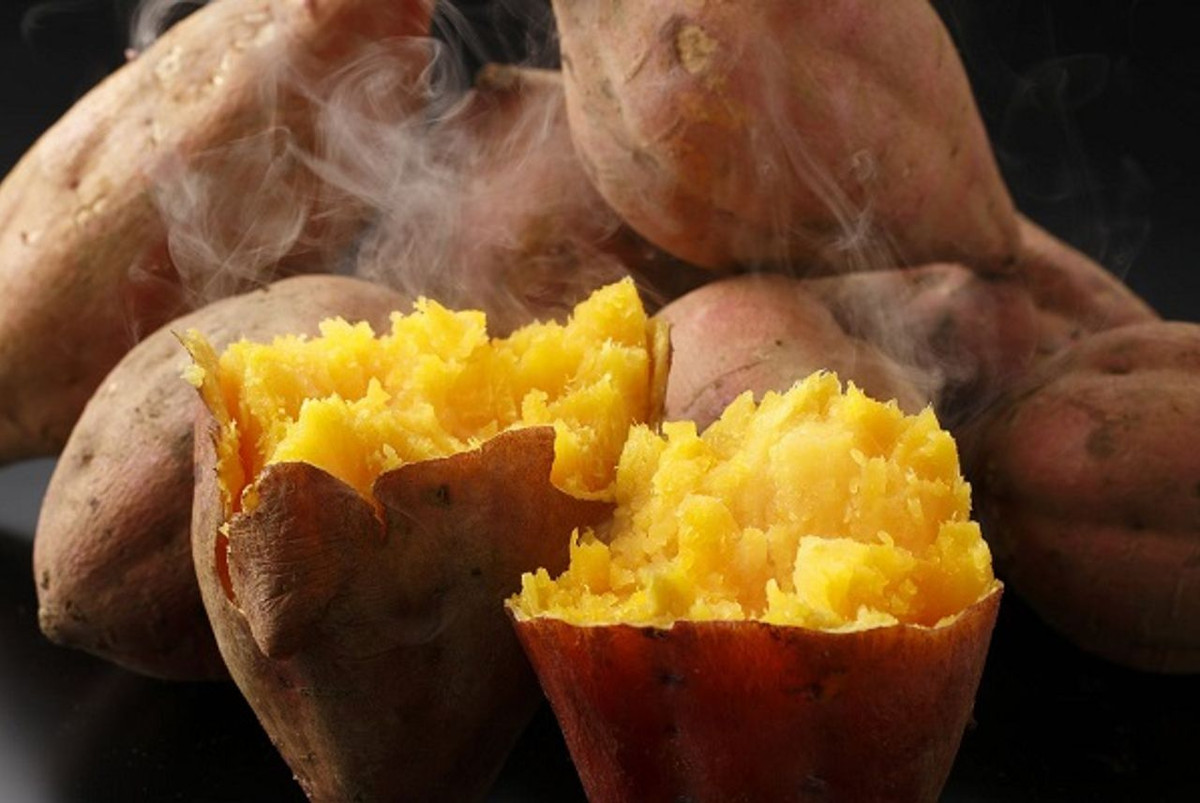 Trong những năm gần đây, xung quanh chúng ta ngày càng có nhiều người mắc các bệnh về mạch máu, đây là một mối nguy hiểm tiềm ẩn ảnh hưởng trực tiếp đến sức khỏe của chúng ta. Nếu hàng ngày, bạn chọn ăn khoai lang vào bữa sáng sẽ rất hữu ích để chăm sóc sức khỏe của các mạch máu.