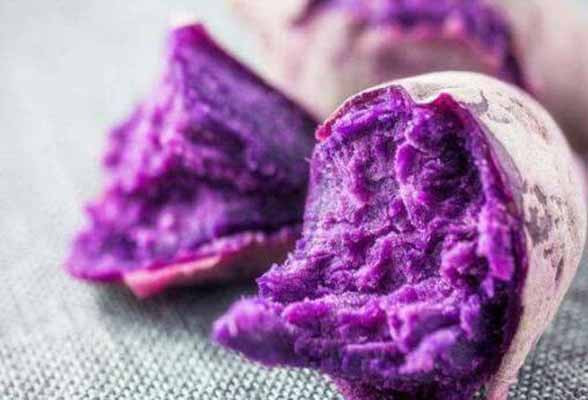 Thế nhưng, trên thực tế, ăn khoai lang vào bữa sáng không chỉ giúp mọi người thực hiện ước mơ giảm cân mà còn khiến cơ thể bạn đạt được nhiều lợi ích bất ngờ, hãy cùng tìm hiểu nhé.