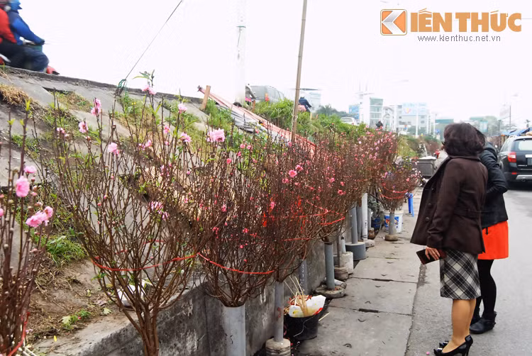 Dao Nhat Tan bat dau bay ban, nua trieu dong/canh-Hinh-2