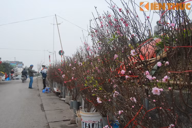 Dao Nhat Tan bat dau bay ban, nua trieu dong/canh-Hinh-6