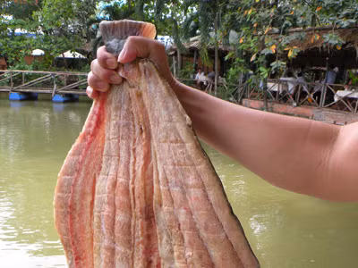 Cá dứa một nắng được xem là một trong những món lạ miệng dịp Tết, với khoảng 250.000 - 270.000 đồng/túi/1kg, người mua đã có thể đặt được món cá thịt thơm, ngọt.