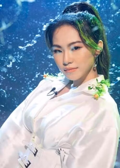 Trong vài năm gần đây, Lương Bích Hữu vẫn tích cực ca hát. Ảnh: FBNV