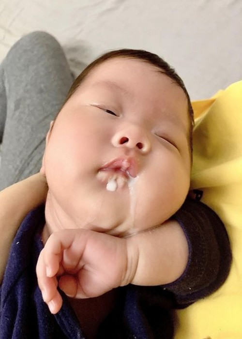 Bé Bona càng lớn càng bụ bẫm.