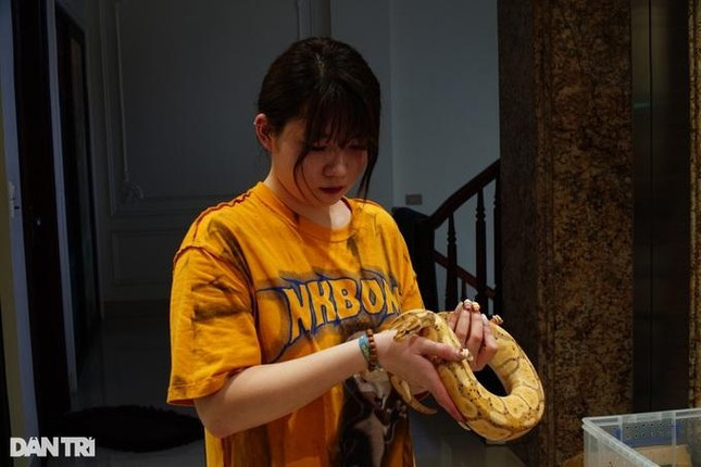 Co gai o HN chi 300 trieu nuoi than lan, tran lam thu cung-Hinh-5