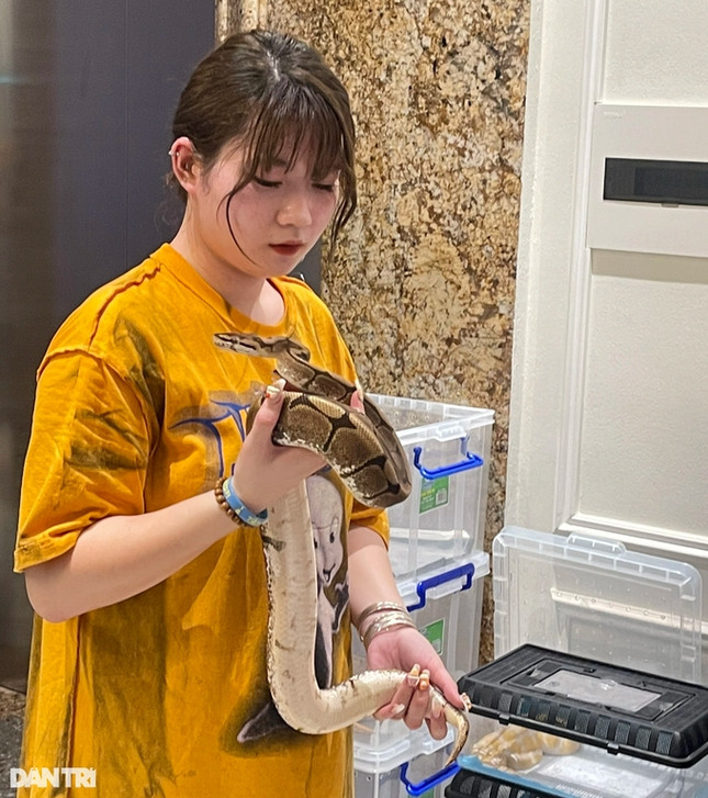 Co gai o HN chi 300 trieu nuoi than lan, tran lam thu cung-Hinh-4