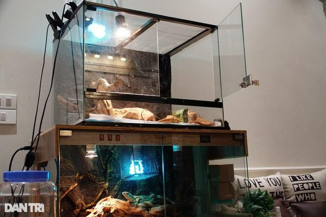 Co gai o HN chi 300 trieu nuoi than lan, tran lam thu cung-Hinh-11