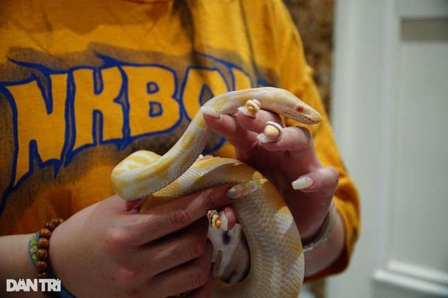 Co gai o HN chi 300 trieu nuoi than lan, tran lam thu cung-Hinh-7