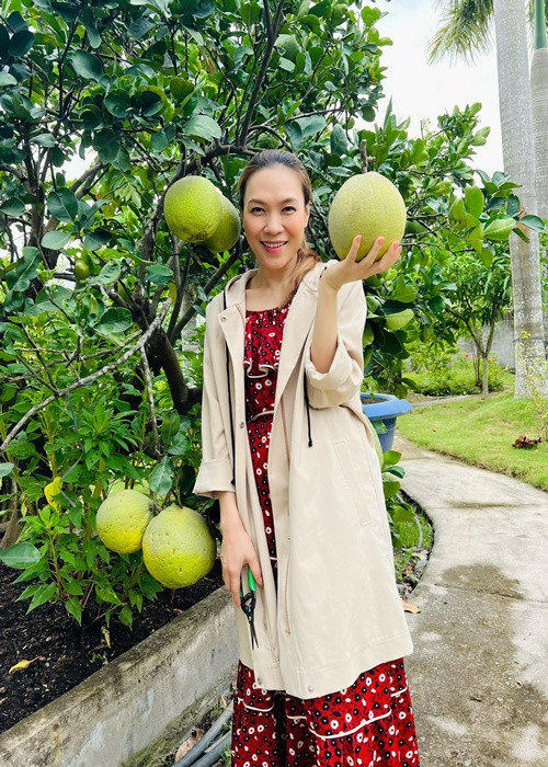 Hồi năm 2020, Mỹ Tâm từng vướng tin đồn mang thai. Ảnh: FBNV