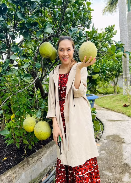 Hồi năm 2020, Mỹ Tâm từng vướng tin đồn mang thai. Ảnh: FBNV