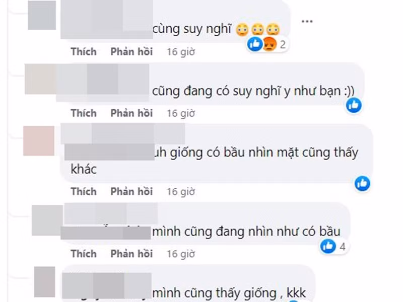 Tin đồn bầu bí của "họa mi tóc nâu" khiến cư dân mạng xôn xao. Tuy nhiên, Mỹ Tâm nhanh chóng phủ nhận. Ảnh chụp màn hình