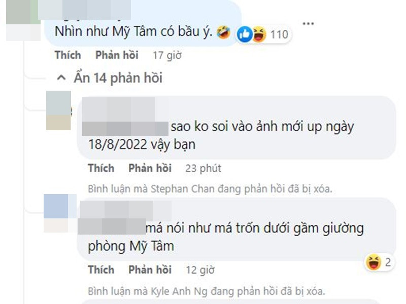 Không ít cư dân mạng đặt nghi vấn Mỹ Tâm mang thai. "Nhìn như Mỹ Tâm có bầu ý", "Giống có bầu, nhìn mặt cũng thấy khác", một số tài khoản Facebook để lại bình luận. Ảnh chụp màn hình