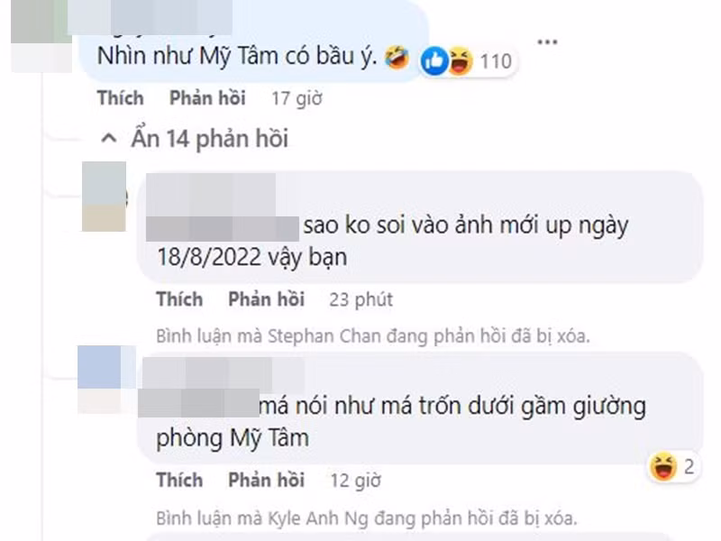 Không ít cư dân mạng đặt nghi vấn Mỹ Tâm mang thai. "Nhìn như Mỹ Tâm có bầu ý", "Giống có bầu, nhìn mặt cũng thấy khác", một số tài khoản Facebook để lại bình luận. Ảnh chụp màn hình