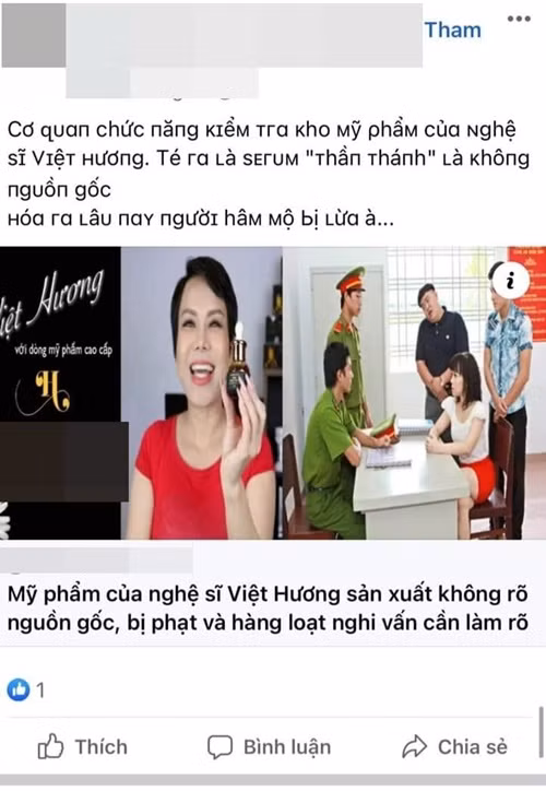 Bi don kinh doanh hang rom, Viet Huong nho phap luat can thiep-Hinh-3