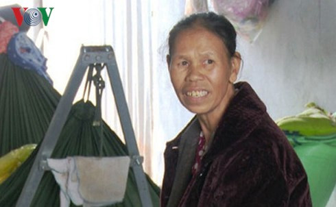 Bà Vấn chỉ bị phạt hành chính và cấm không được tổ chức giữ trẻ. Nguồn ảnh: VOV