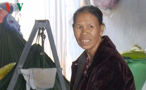 Bà Vấn chỉ bị phạt hành chính và cấm không được tổ chức giữ trẻ. Nguồn ảnh: VOV