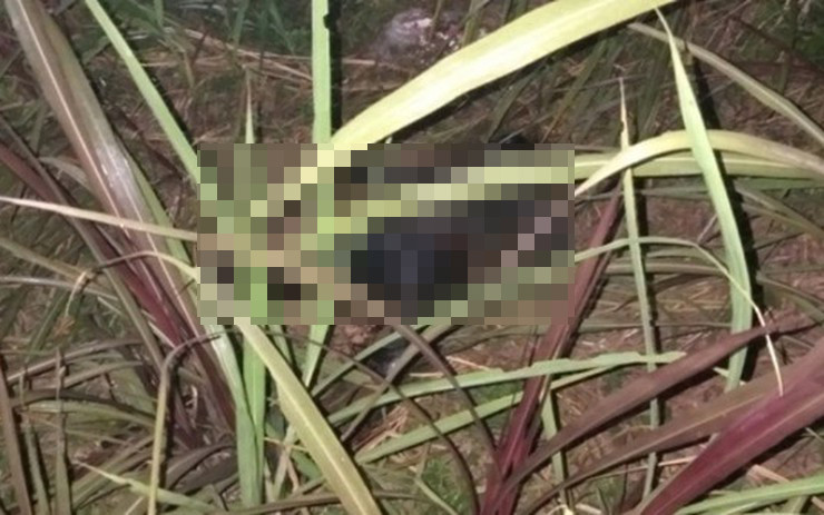 Sự việc lập tức được báo về Công an huyện Mèo Vạc, Công an tỉnh Hà Giang. Tại hiện trường, cơ quan điều tra nhận định hai nạn nhân là nam giới, tử vong vài giờ trước đó, trên cơ thể có nhiều vết thương do vật cứng, tày gây ra. Có thể cả hai người này đều là nạn nhân của 1 vụ giết người đặc biệt nghiêm trọng. (Ảnh minh hoạ, nguồn ảnh Internet)