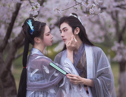 Đáng tiếc, một người đàn ông đẹp như thế, tốt như thế, chung tình như thế, cuối cùng lại vướng vào vòng xoáy chính trị để rồi phải nhận một kết thúc bi thảm. Khi ấy, Phan An có mâu thuẫn vô cùng lớn với sủng thần trong triều, vì thế Phan An bị các sủng thần khác liên thủ đả kích.