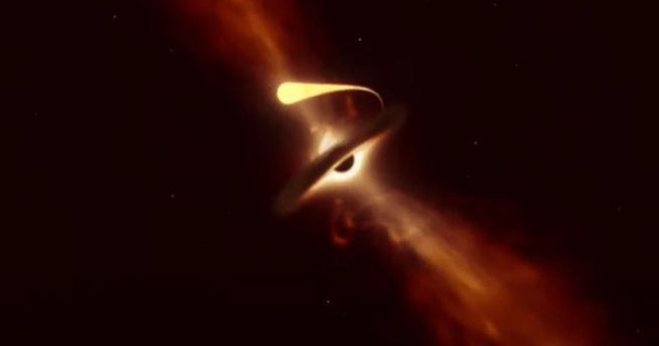 Sự kiện bí ẩn đã được nhóm nghiên cứu từ nhiều viện, trường, trung tâm trực thuộc Đại học Harvard (Mỹ) xem xét.