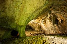 Điều này có ý nghĩa về nhiều mặt. Thứ nhất, niên đại kỳ diệu này khẳng định bộ sưu tập hài cốt động vật phong phủ - bao gồm một loài sói, một loài gấu hang động, sư tử hang động... - trong đống tàn tích thuộc về những vị tổ tiên cực kỳ xa xưa, đã tuyệt chủng của các loài tương tự ngày nay