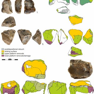 Thứ hai, kho báu hơn 40.000 năm tuổi này đến từ loài người khác - những Homo sapiens tồn tại trên địa cầu mới hơn 300.000 năm.
