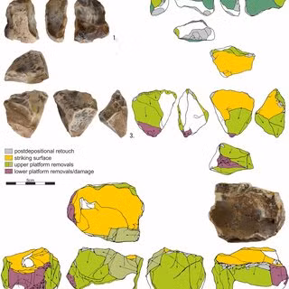 Thứ hai, kho báu hơn 40.000 năm tuổi này đến từ loài người khác - những Homo sapiens tồn tại trên địa cầu mới hơn 300.000 năm.