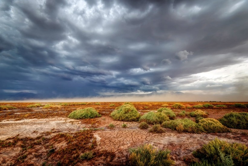 Tuy nhiên, hệ sinh thái cổ đại này khi tương tác với các điều kiện của Sao Hỏa sẽ làm lạnh toàn cầu ở mức âm 223 độ C và kìm hãm sự phát triển của các sinh vật cao cấp hơn.