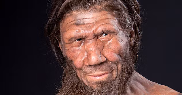 Homo sapiens chính là loài chúng ta - người hiện đại hay còn gọi là người tinh khôn - trong khi Neanderthals là loài người khác đã tuyệt chủng. Cả 2 loài đều thuộc chị Người (Homo) và có những bằng chứng từ bộ gien cộng đồng hiện đại cho thấy có nhiều cuộc hôn phối dị chủng đã xảy ra.